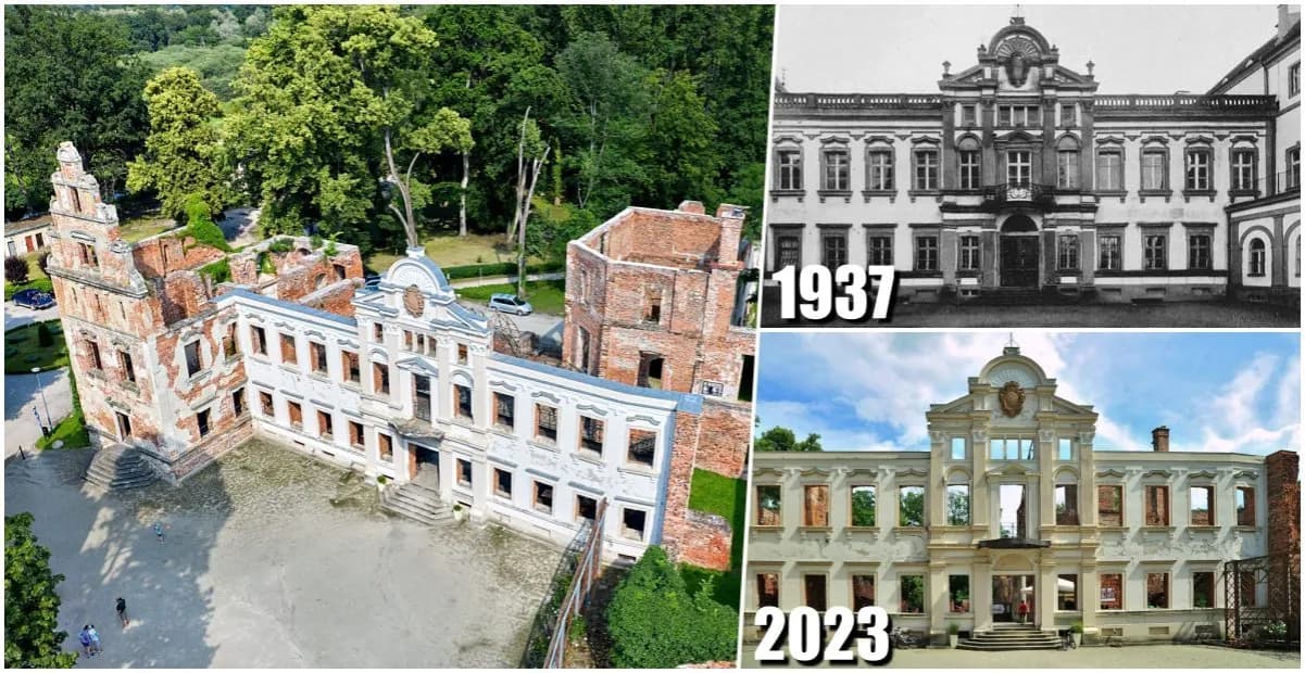 Zamek w Żmigrodzie: Tajemnice dolnośląskiej rezydencji