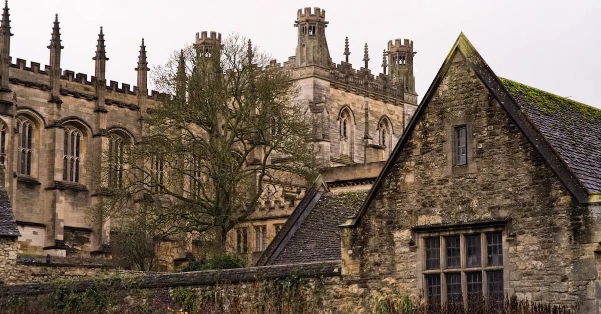 Zakon cystersów: Tajemnice mnichów, którzy zmienili Europę